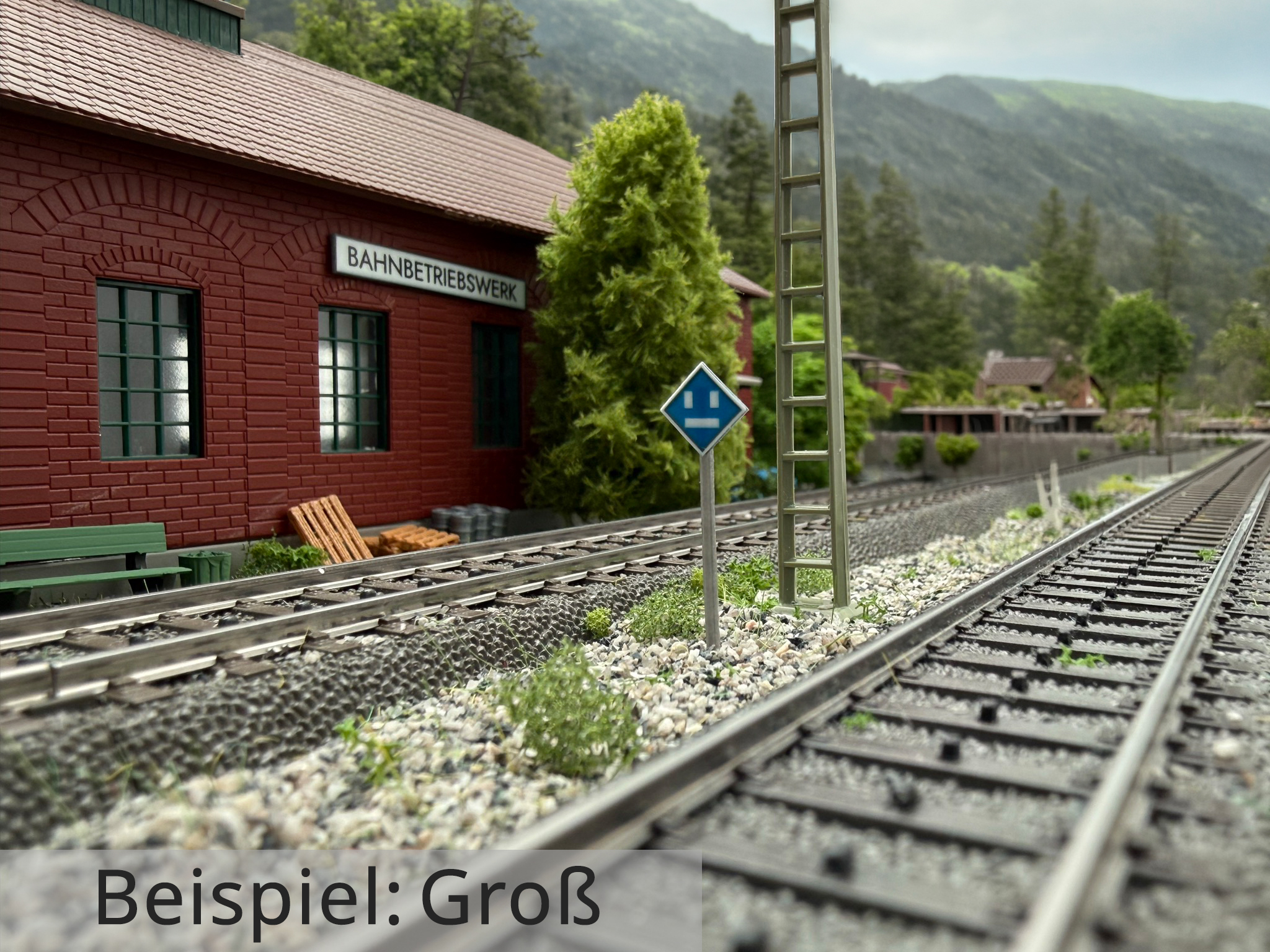 el1-signal-gross-h0-6580