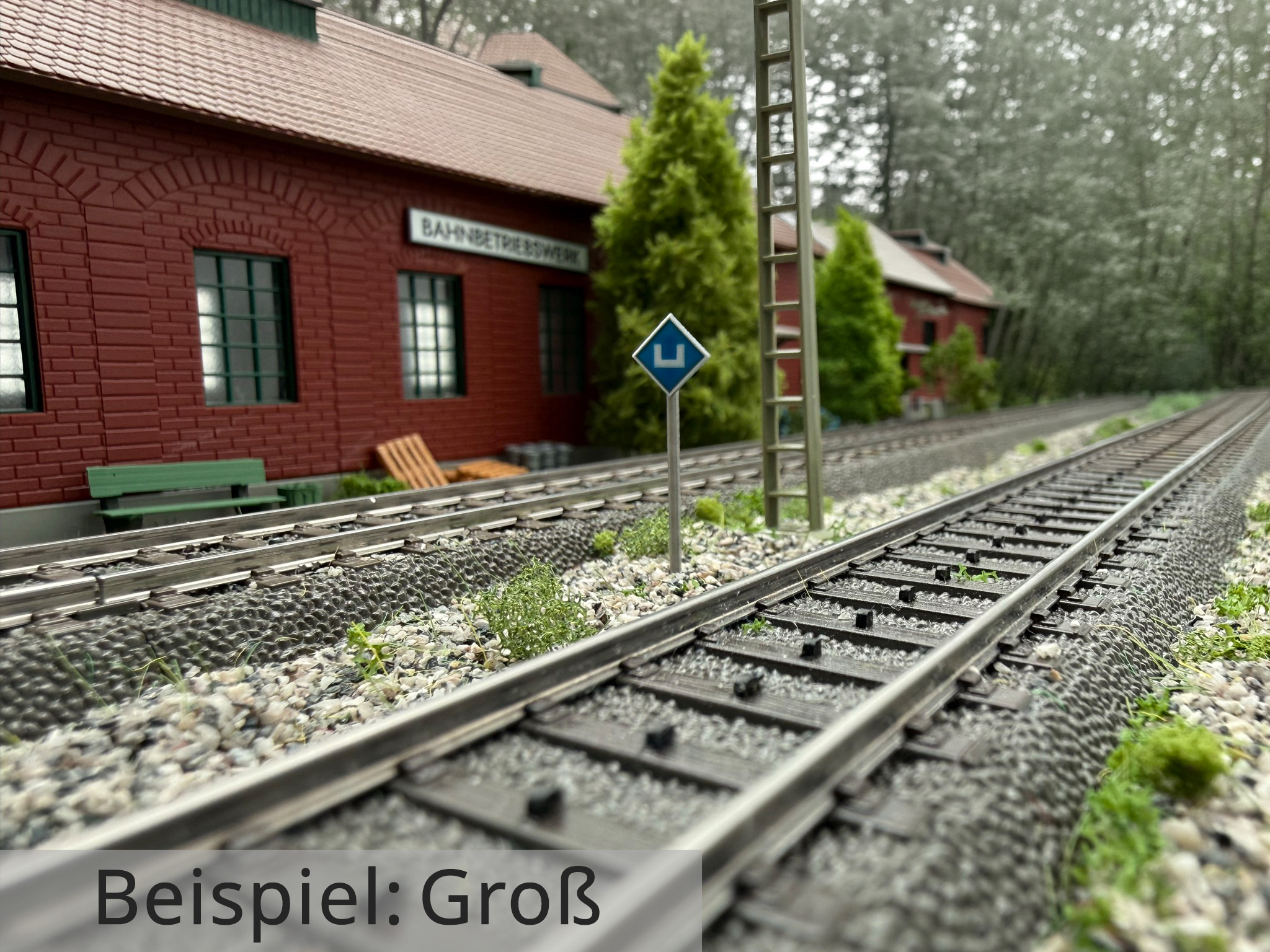 el2-signal-gross-h0-IMG_6582