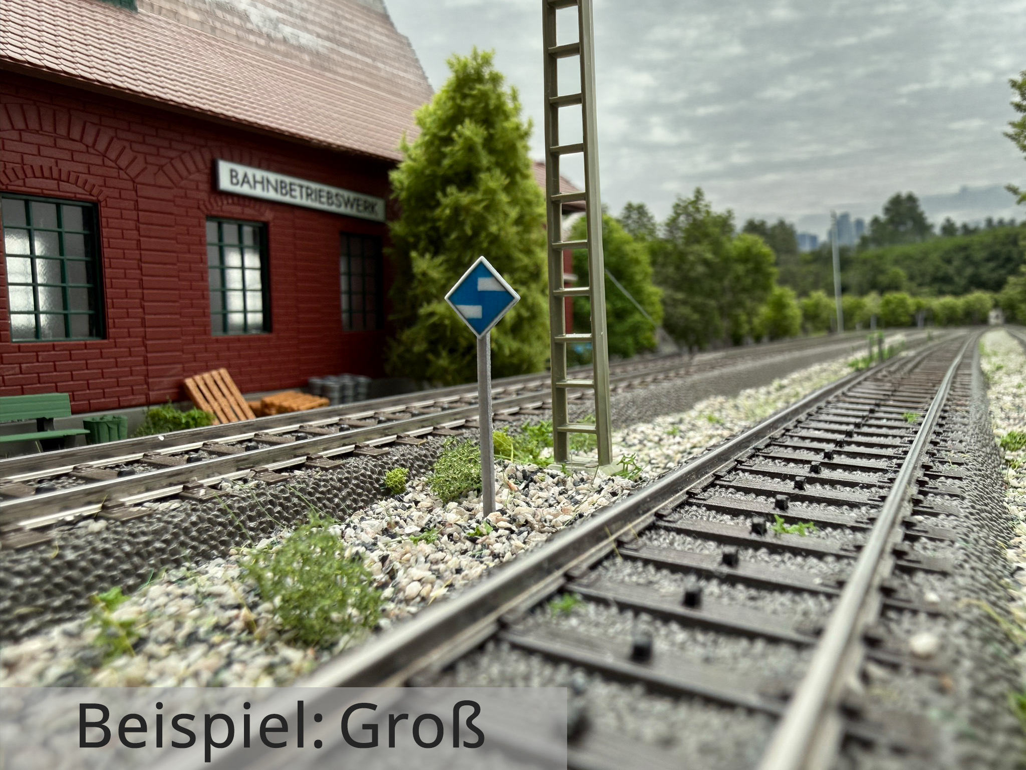 el3-signal-gross-h0-IMG_6586