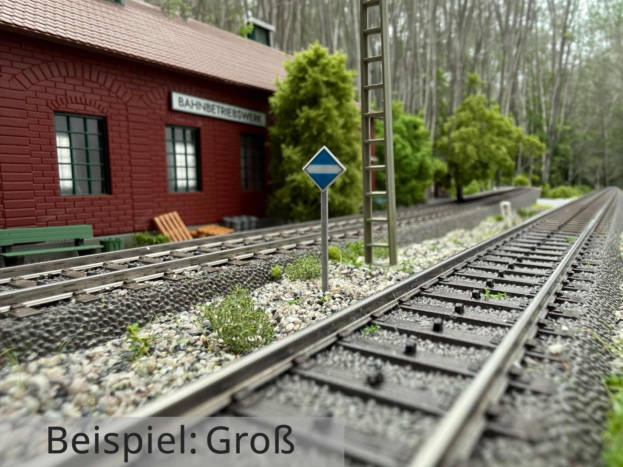 el4-signal-gross-h0-IMG_6584