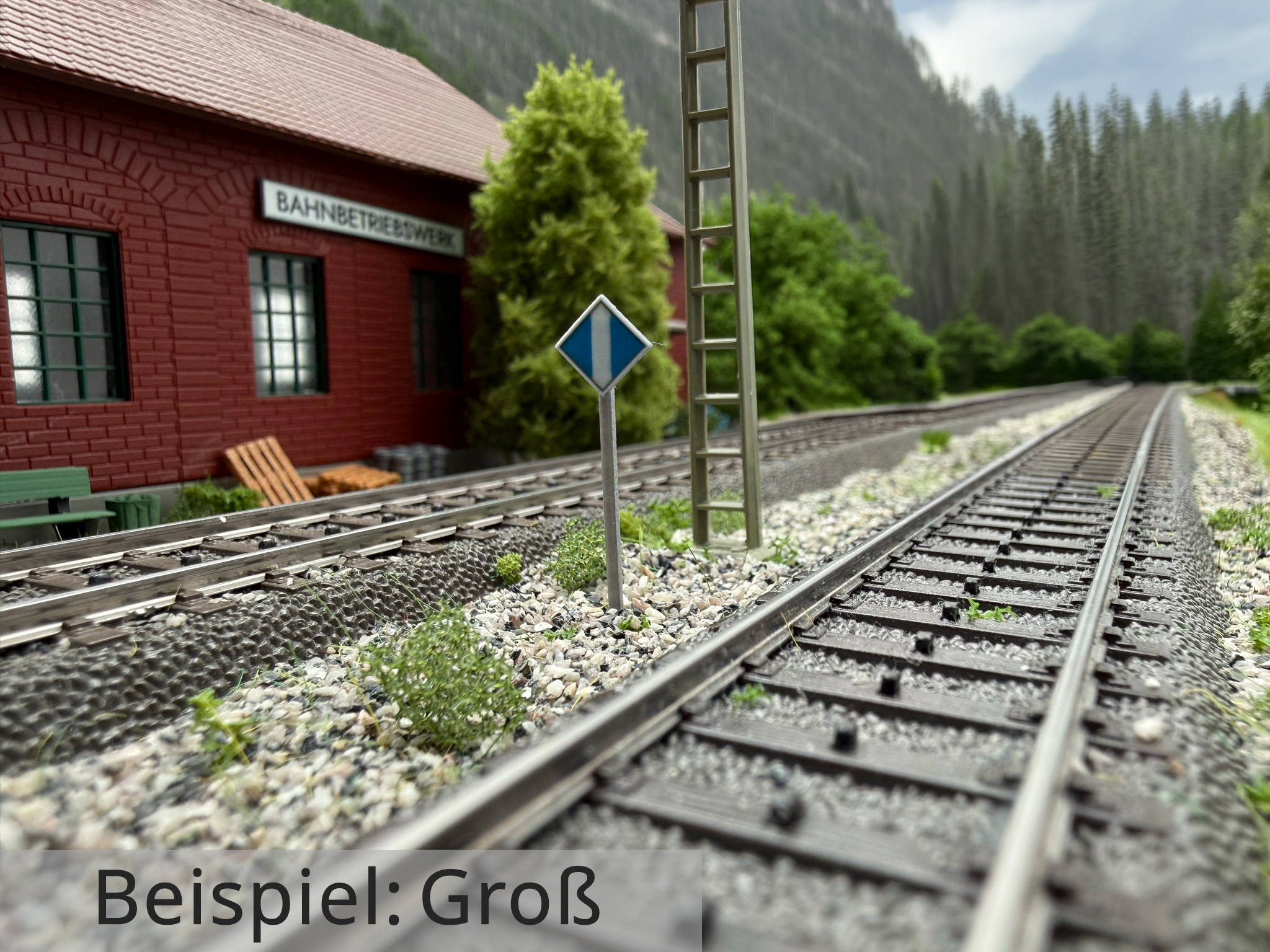 el5-signal-gross-h0-IMG_6588