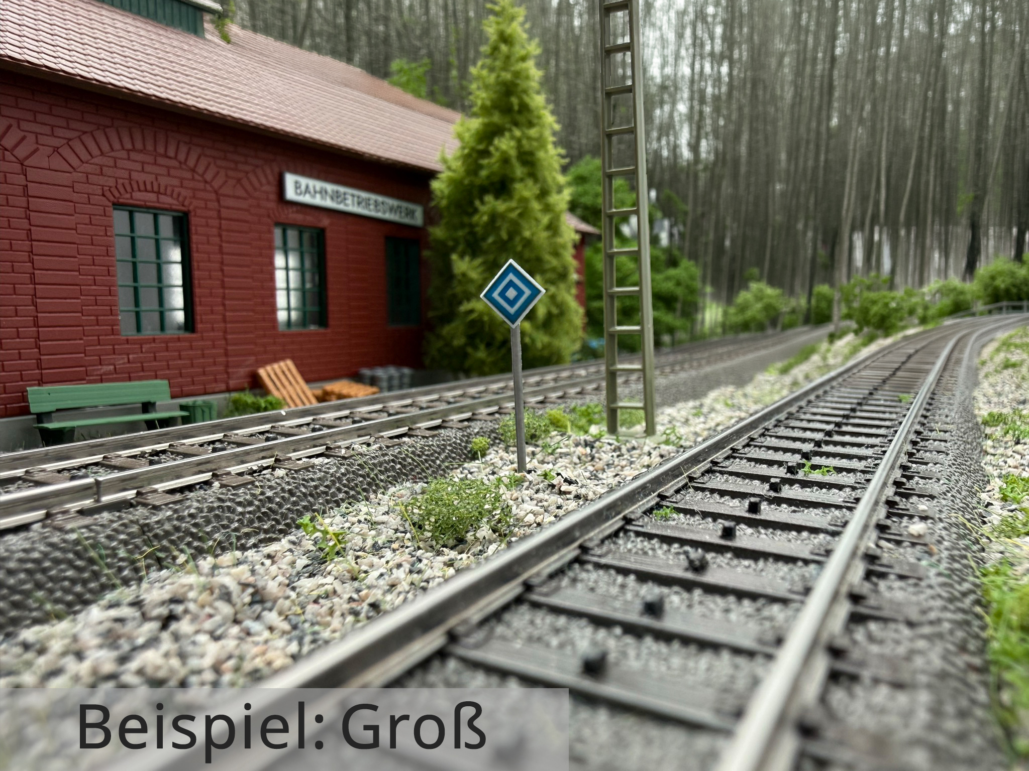 el6-signal-gross-h0-IMG_6592