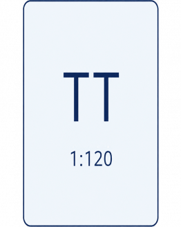 Spur TT